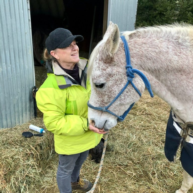 Claudia working with El Marees, one of her rescued Arabian horses. 